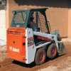 web_bobcat-463.jpg